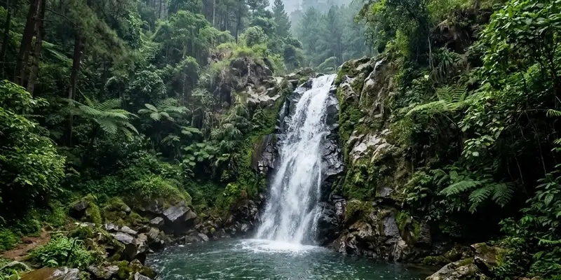 Air Terjun dan Hutan Pinus Tersembunyi di Batu