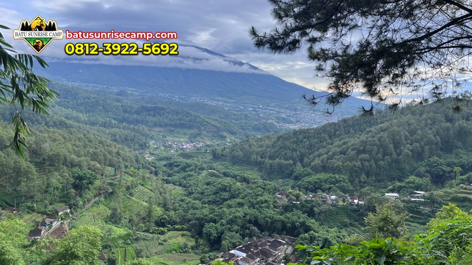 Aktivitas Seru saat Camping